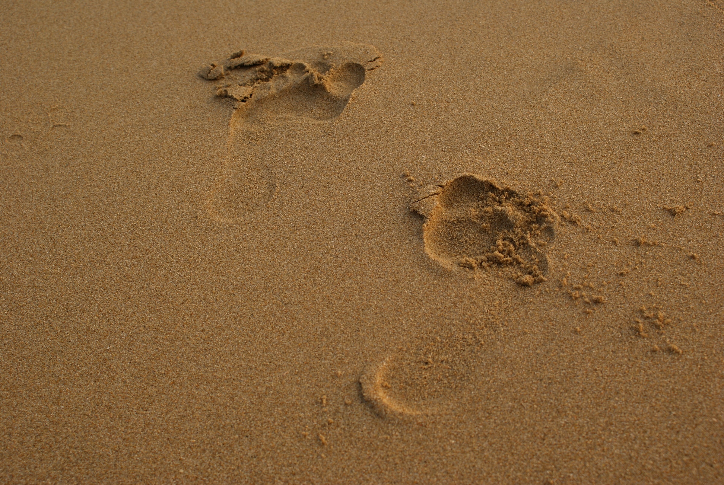Moin & herzlich Willkommen!