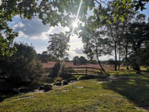 Digitalisierung-Lüneburger Heide