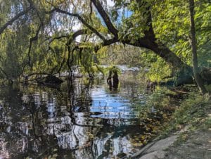 Haltung Werte Wandel